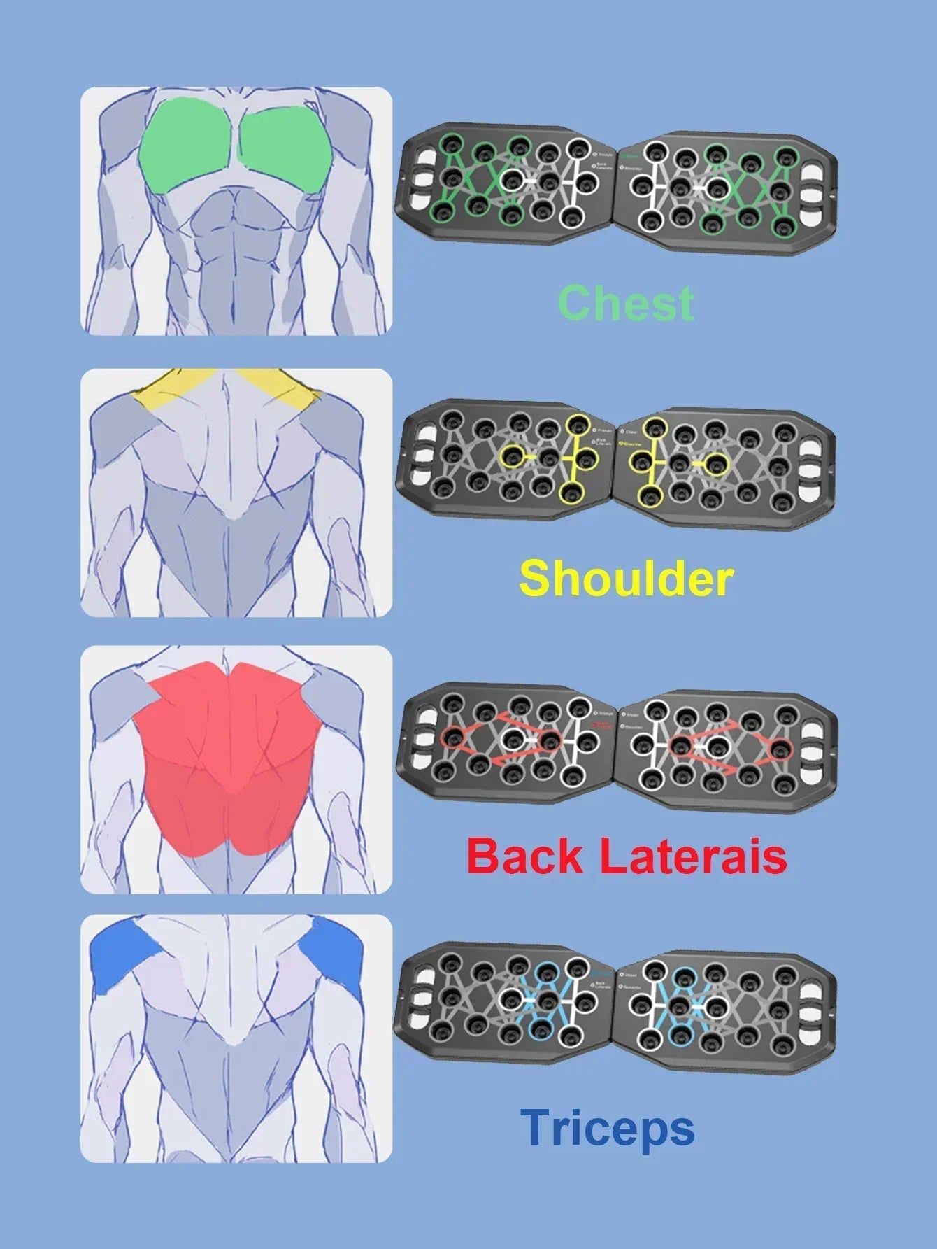 Color-Coded Push-Up Board