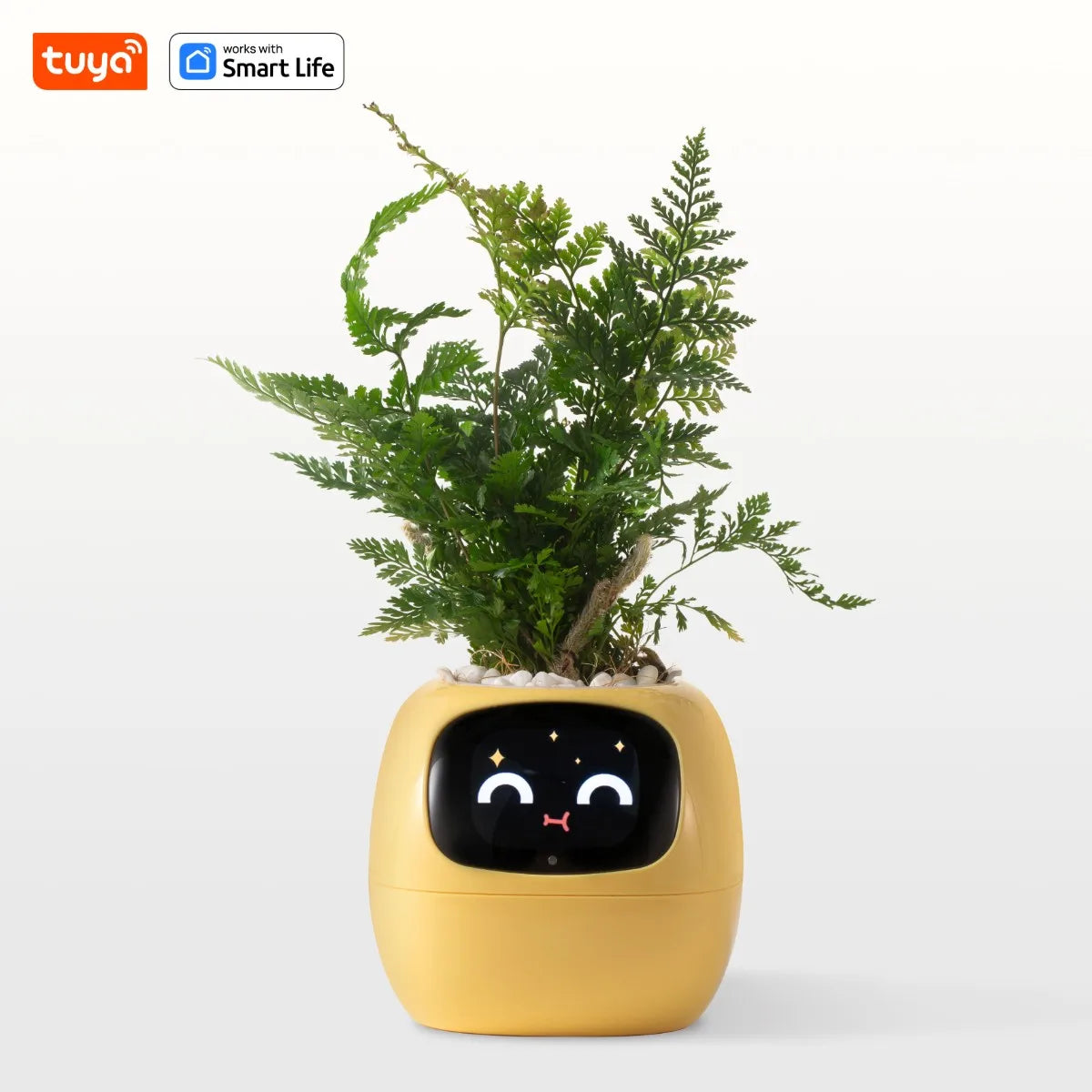 AI Smart Planter