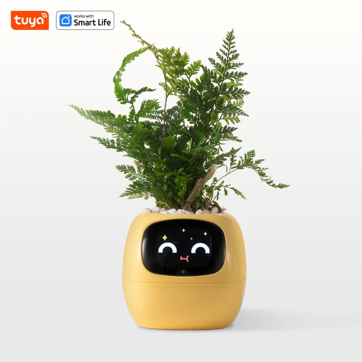 AI Smart Planter