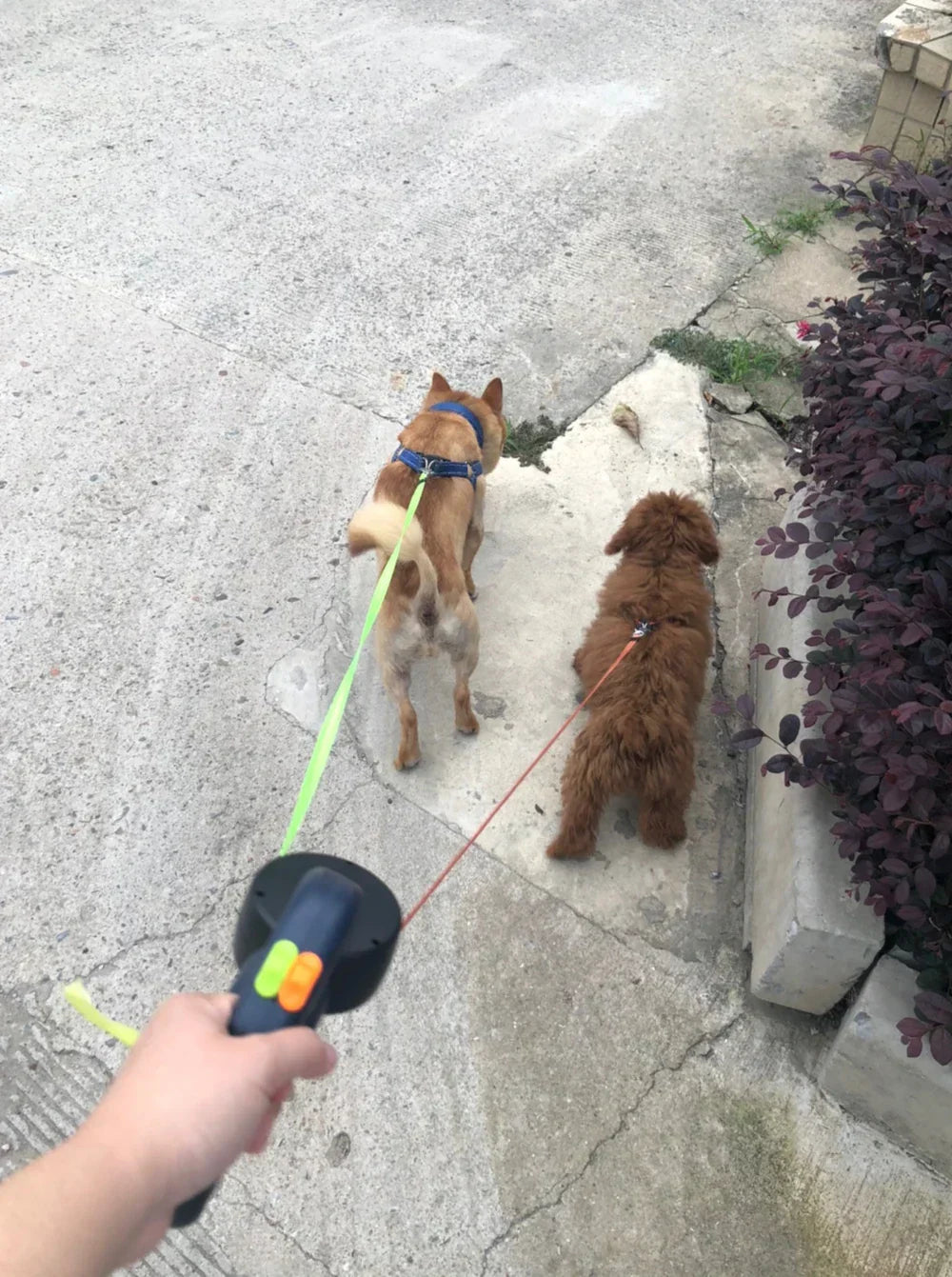 Heavy-Duty Retractable Dog Leash