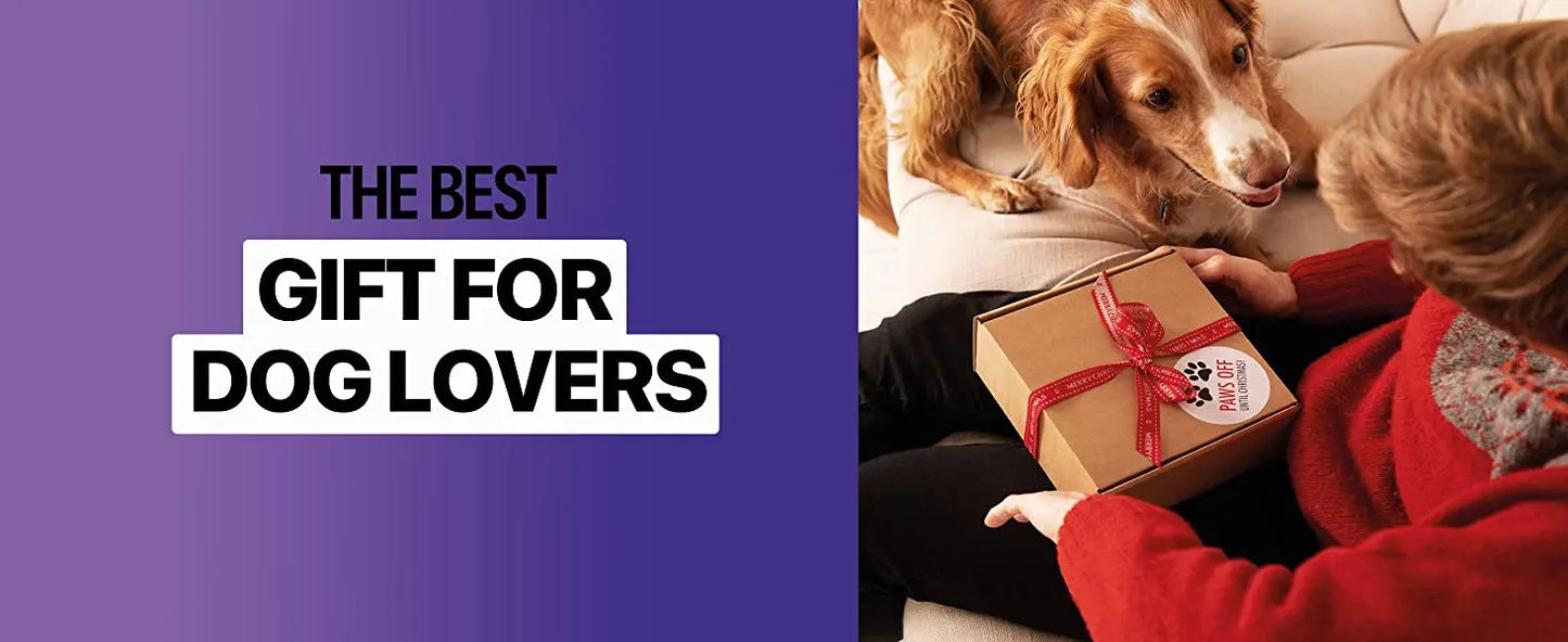 Ultrasonic Dog Trainer & Repeller